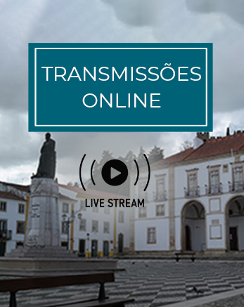 btt-transmissoes-online