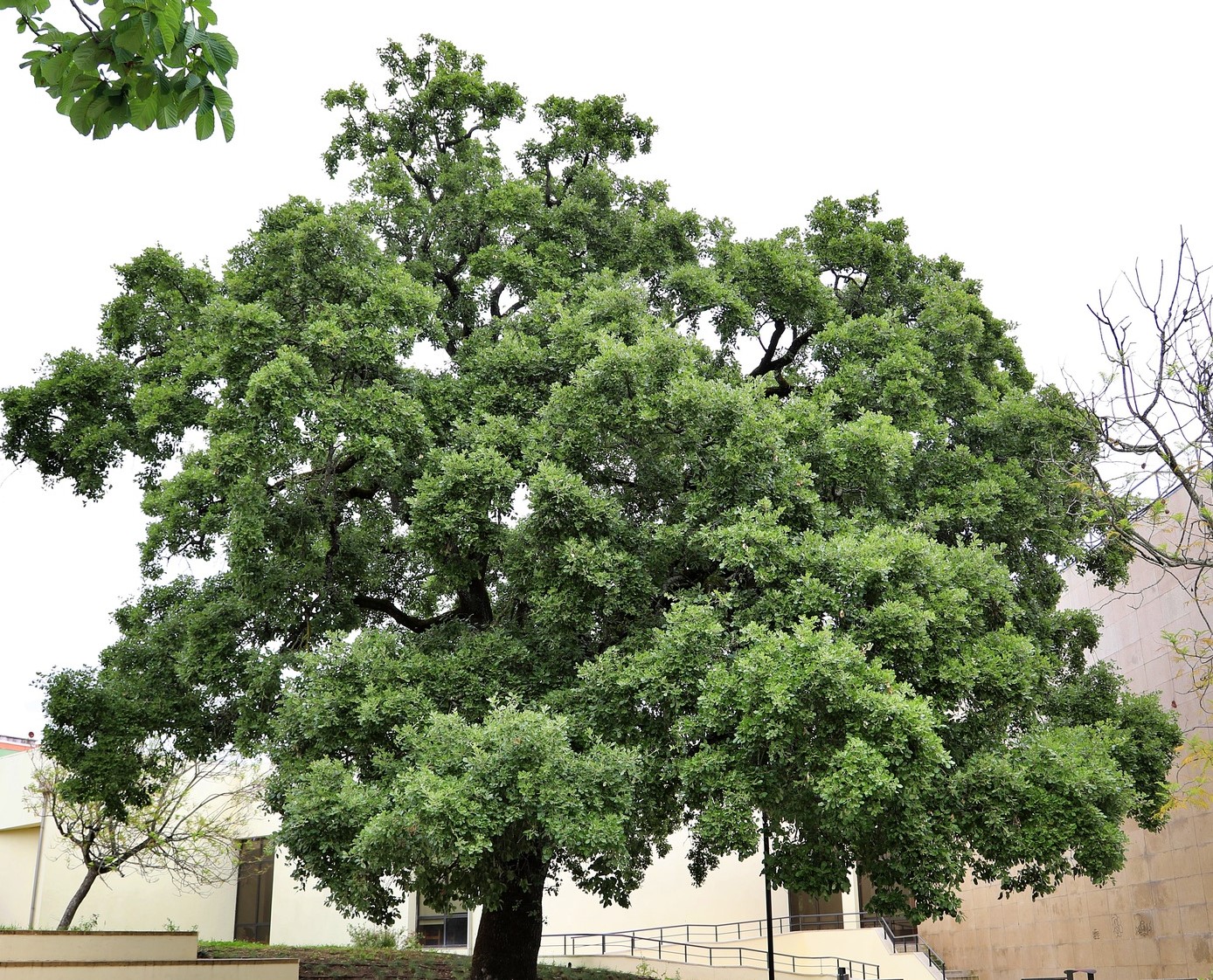 Palavras com Autor 2026 - O que fica escrito permanece