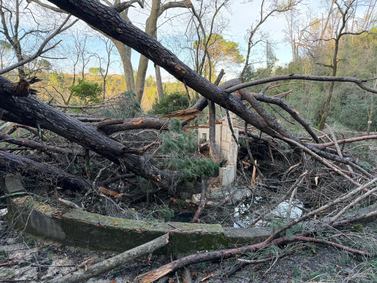 Tempestade Kristin causa danos significativos na Charolinha da Mata dos Sete Montes
