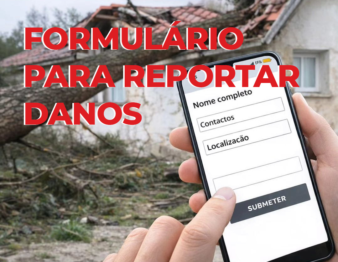 Formulário para reportar danos causados pela depressão Kristin