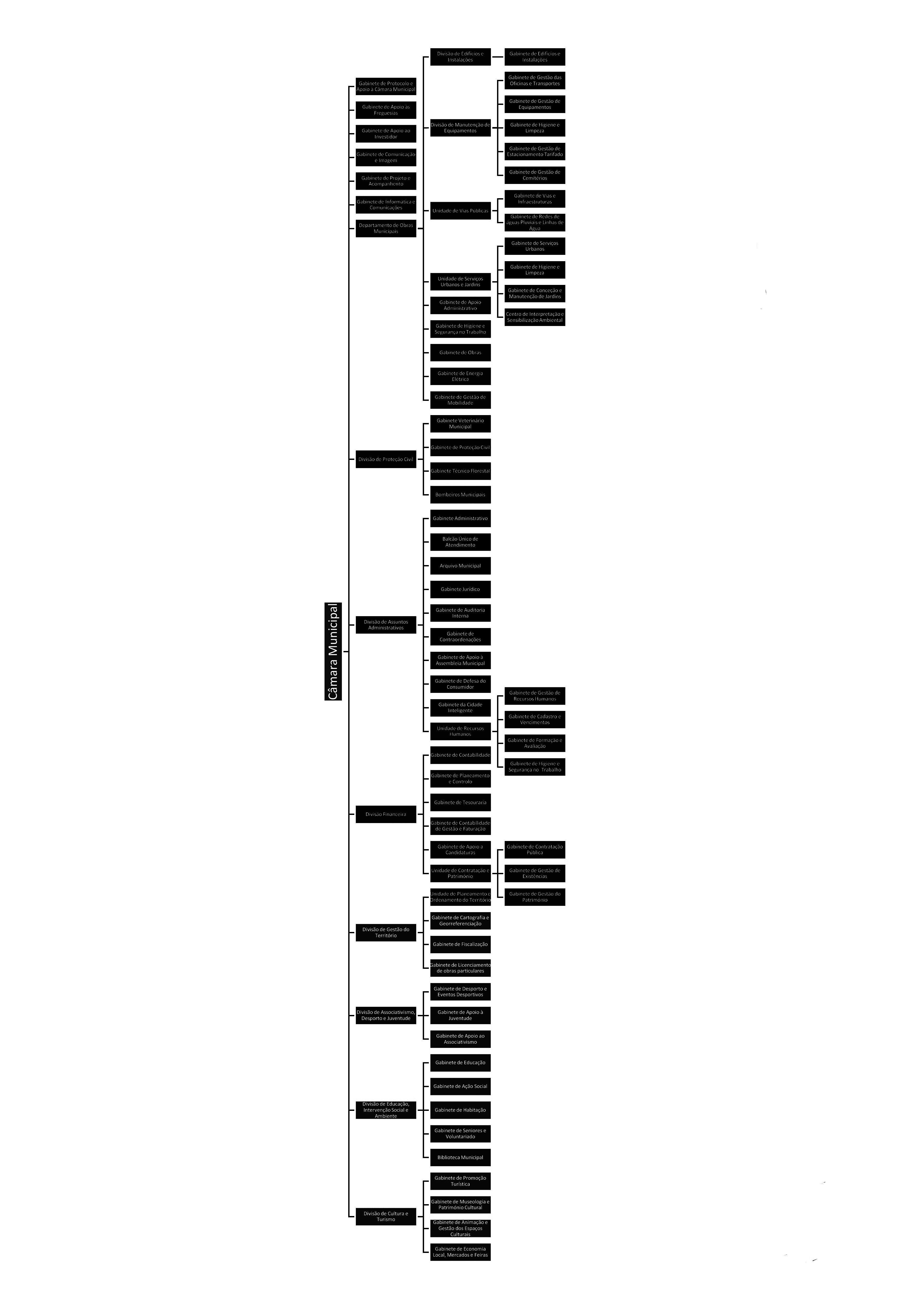 Organograma-distribuicao-pelouros 2024