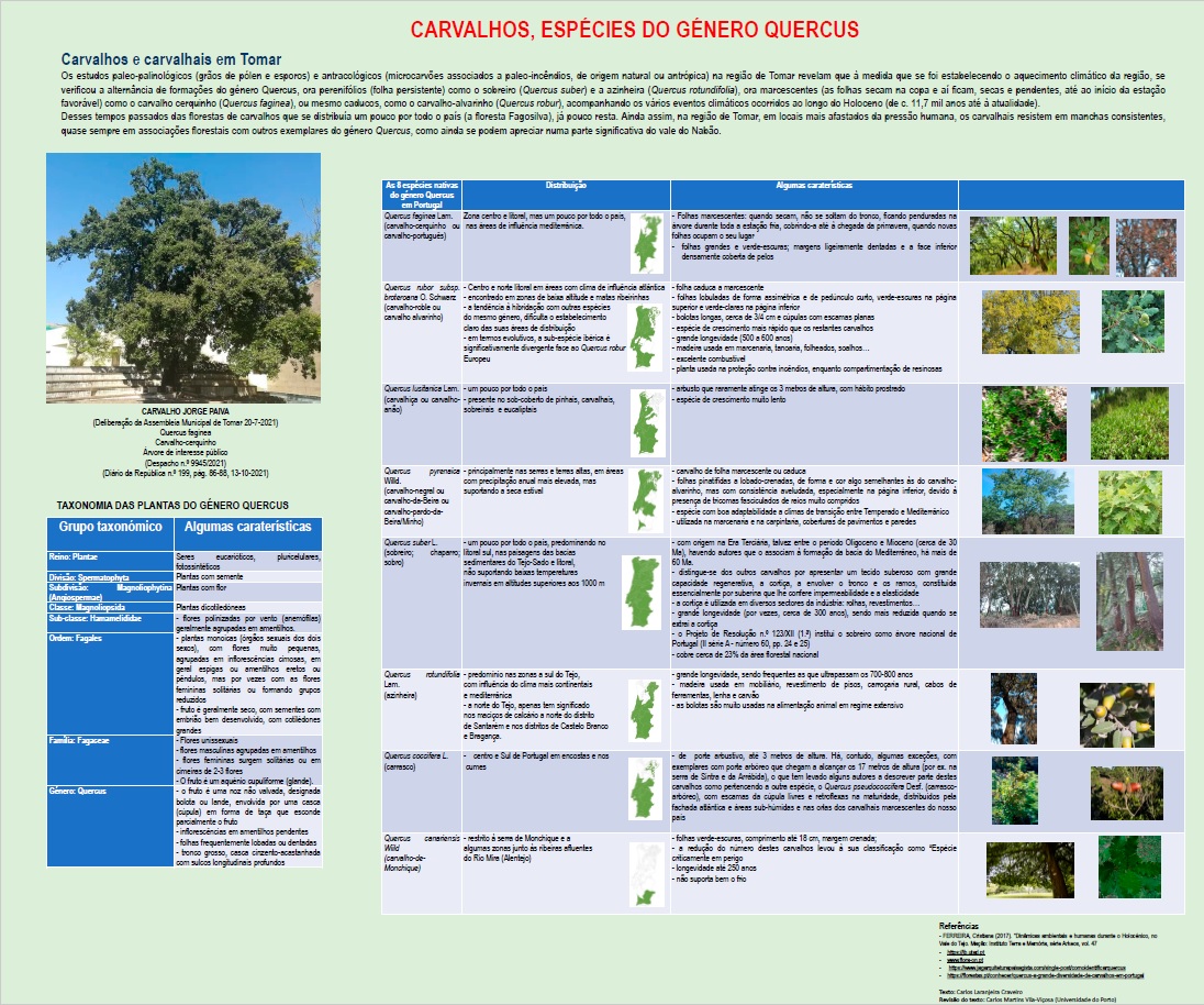 img-carvalhos-especies
