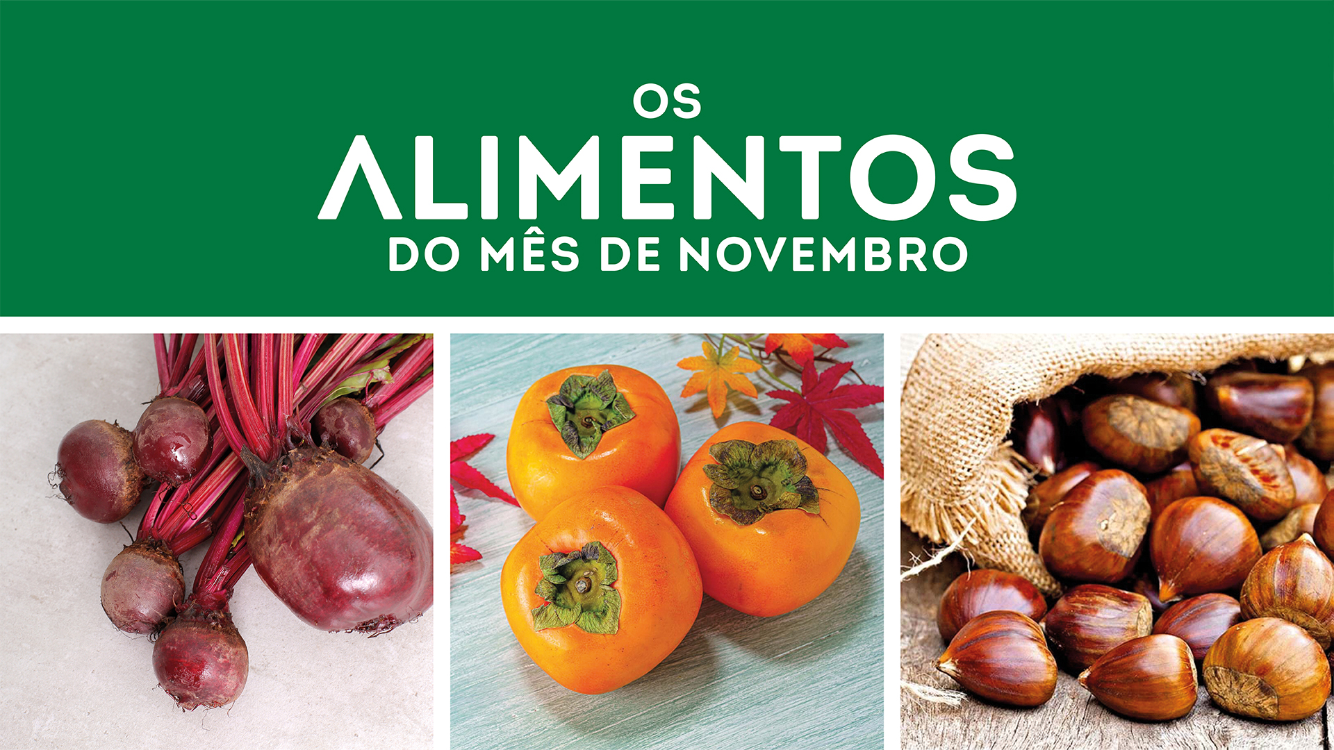 ecra mercado alimentos novembro