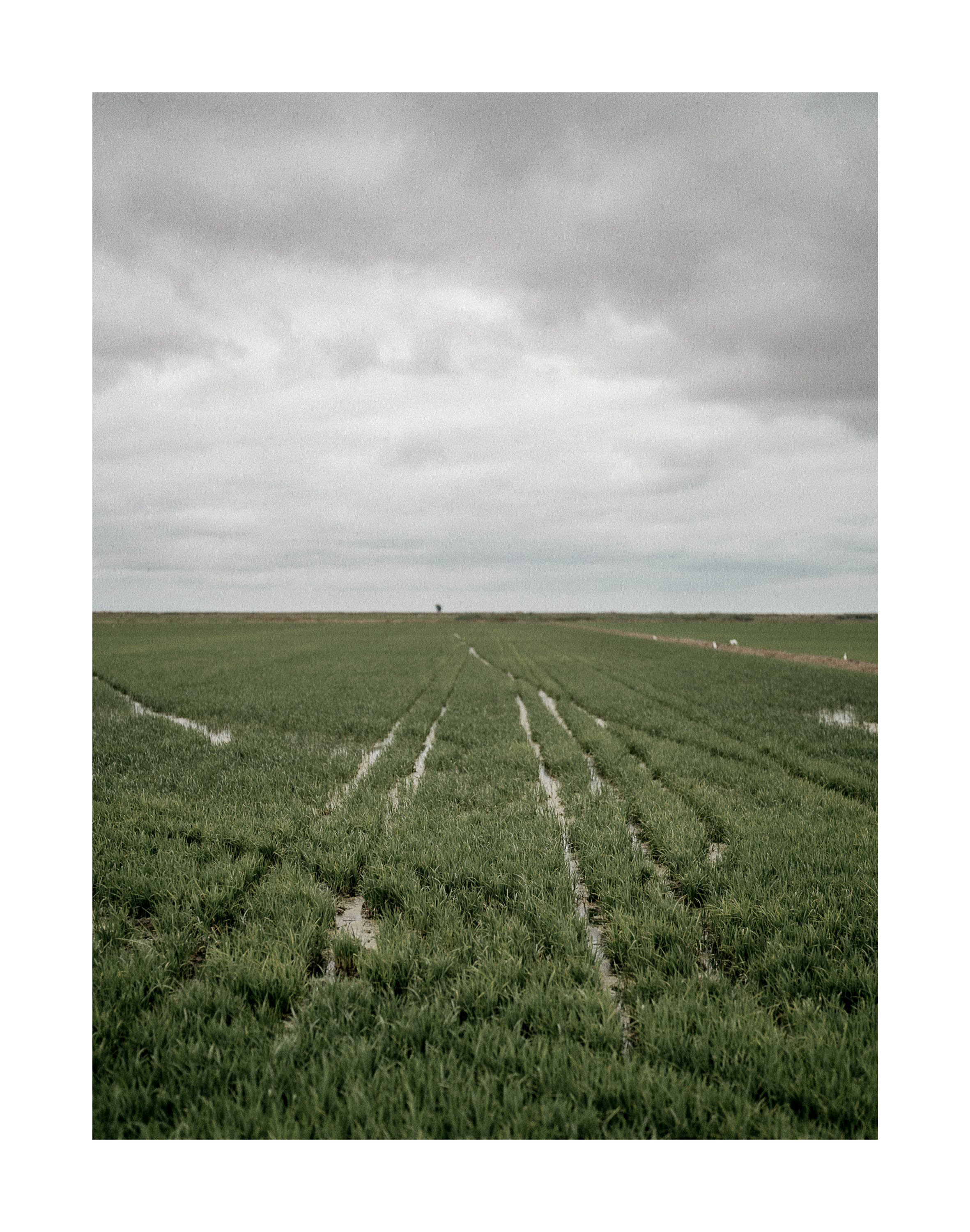 Exposição "Delta" de Rodrigo Vargas