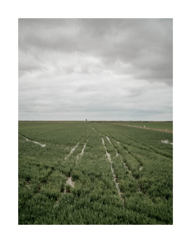 Exposição "Delta" de Rodrigo Vargas